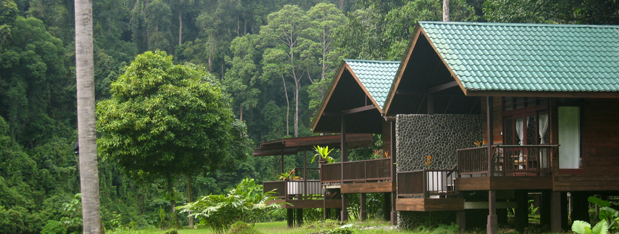 Borneo Rainforest Lodge twin deluxe chalet