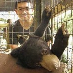 Centre to help preserve Sabah’s sun bears