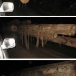 Logging Trucks by Night