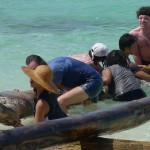 Arkitrek Camp – Mantanani island 2011 (Part 3)